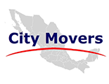 C.G. GESTORÍA CORPORATIVA, S.C.